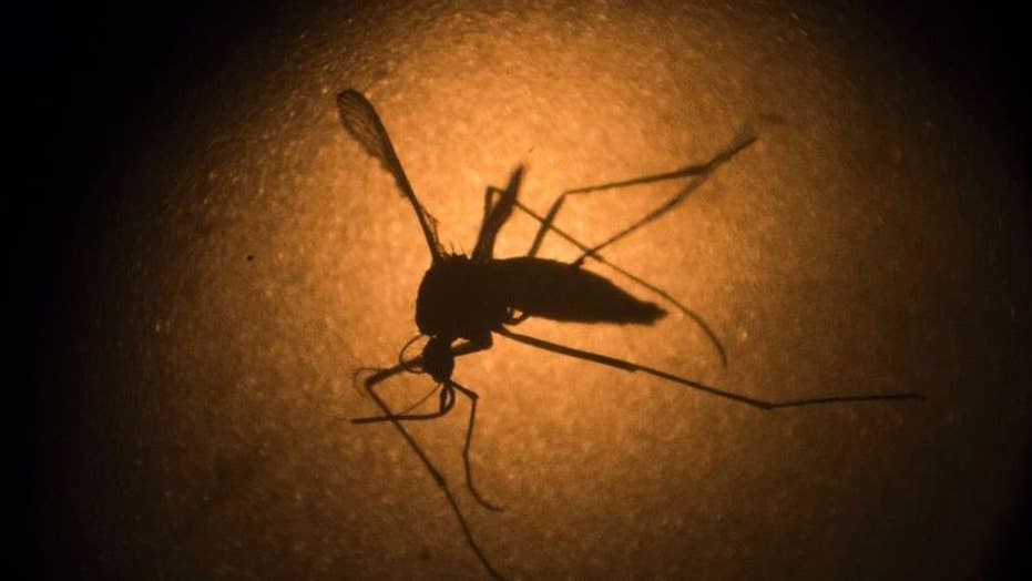 Medical mystery: Caregiver gets Zika from man who died