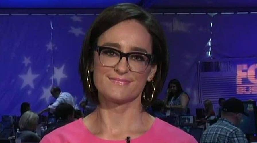 Juan Williams: Kennedy is the target voter for Dems and GOP