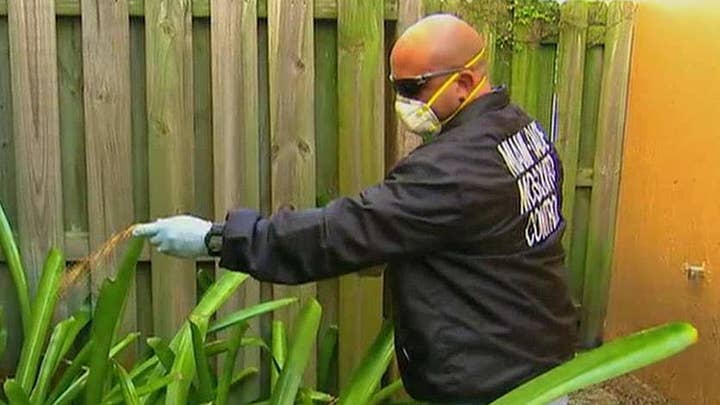 Four cases of Zika transmitted locally near Miami 