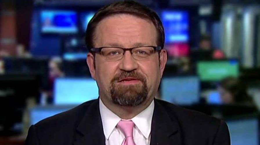 Gorka: The DNC has been captured by left-wing radicals