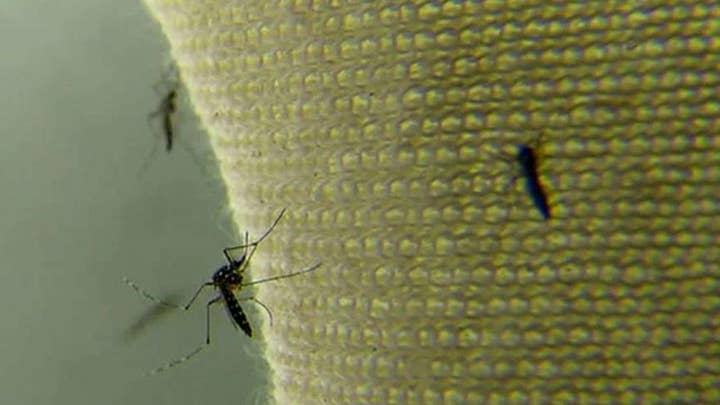 Miami-area travel warning over Zika virus 