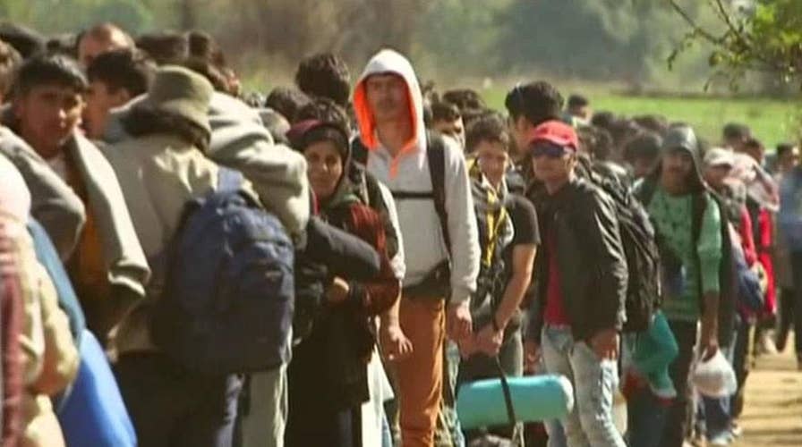 DHS allows over 8,000 Syrian refugees to stay in US 