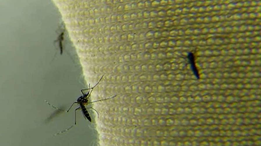 Miami-area travel warning over Zika virus