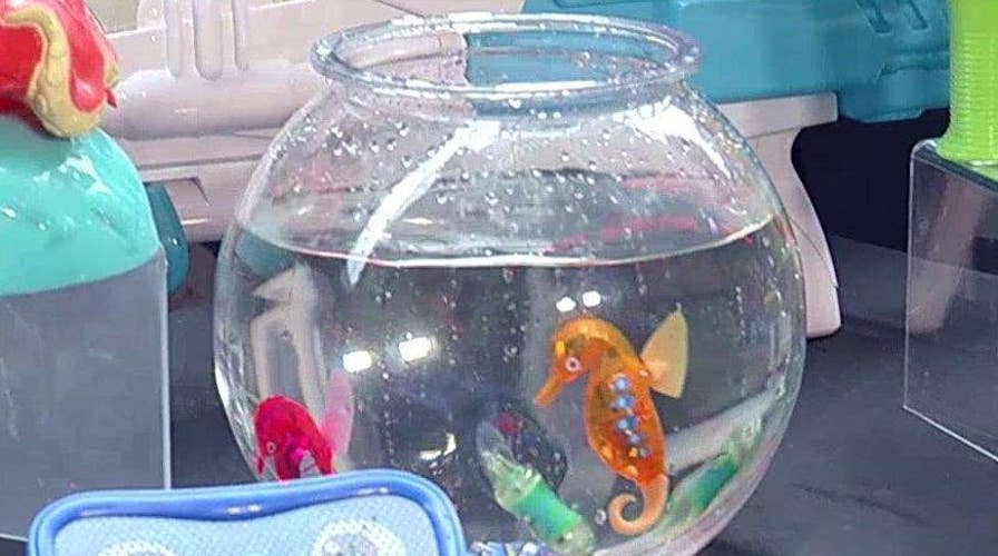 Beat the heat with the 'coolest' backyard bash