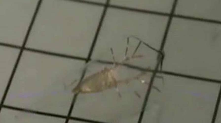 Tiny 'stingray' robot swims on light-activated rat cells