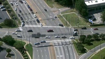 Mall chaos: Patrons report shots, but did gunfire happen?