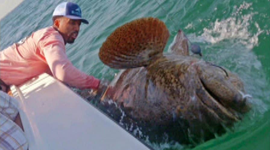 Catch of the day: NBA star wrangles massive fish