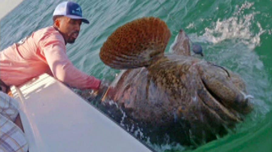 Catch of the day: NBA star wrangles massive fish