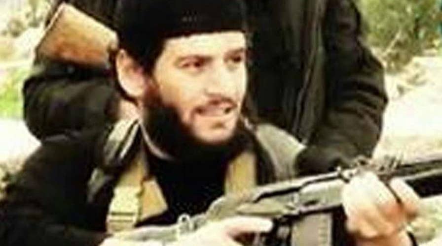 Report: Senior ISIS leader, spokesman killed in Syria