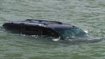 Driver frightened by mouse mistakenly sends SUV into bay