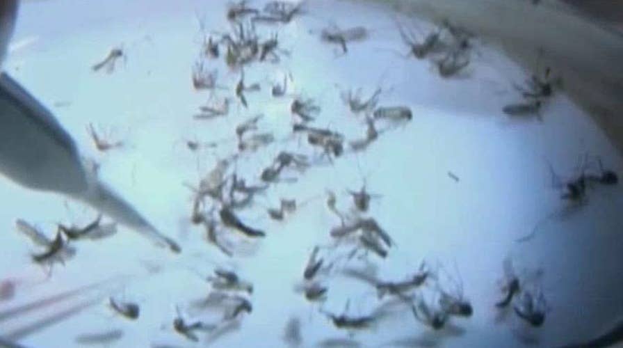 Lawmakers point fingers over Zika funding fight