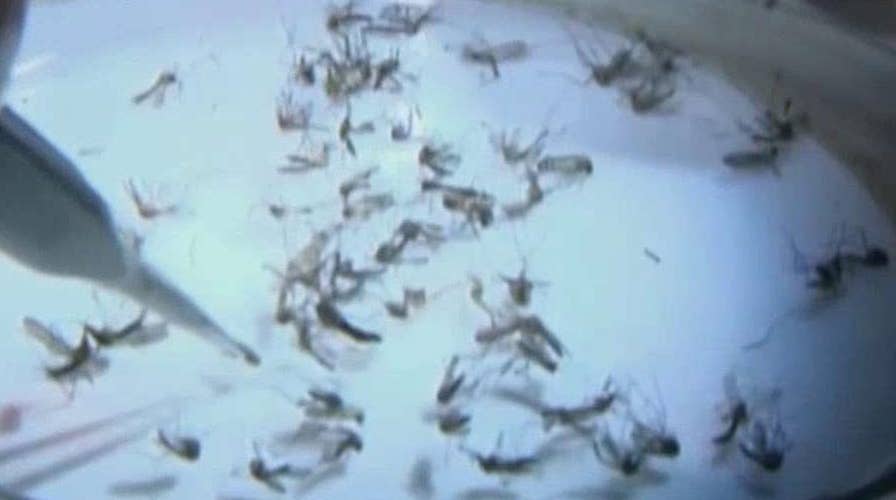 Lawmakers point fingers over Zika funding fight