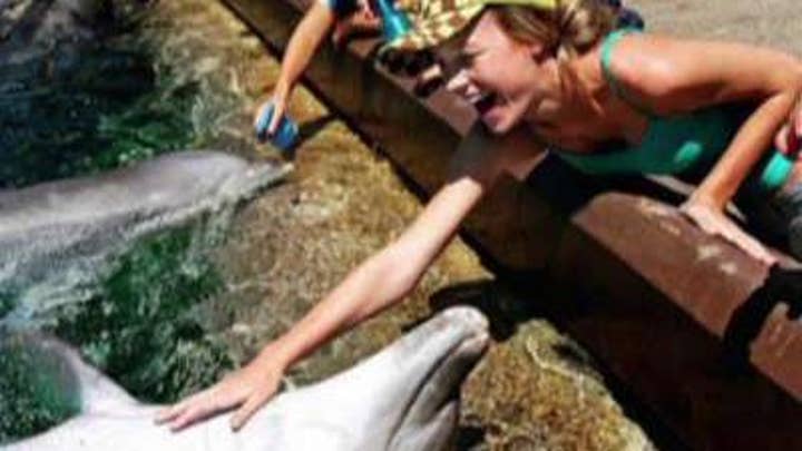 Actress Brie Larson apologizes for petting a dolphin 