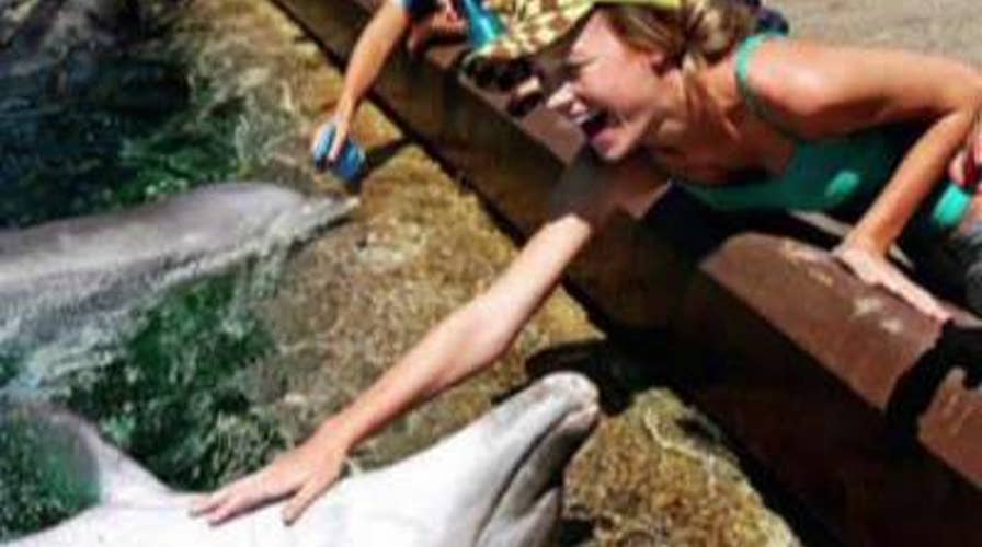 Actress Brie Larson apologizes for petting a dolphin