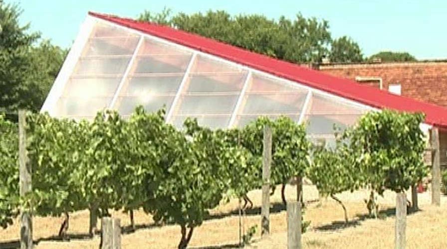 Vineyard revitalizing Cleveland neighborhood