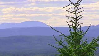 Maine monument sparks land concerns - Fox News
