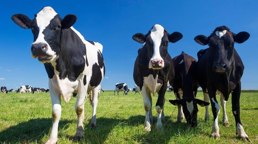 California clamps down on cow farts