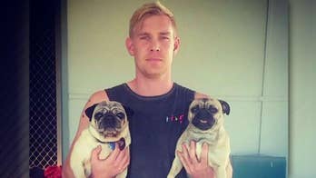 Pug owner tells friends about lost dog, gets somebody else's dog