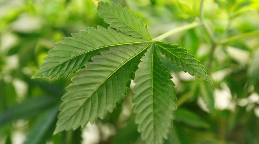 Smokin', rollin', eatin' ... regulatin'