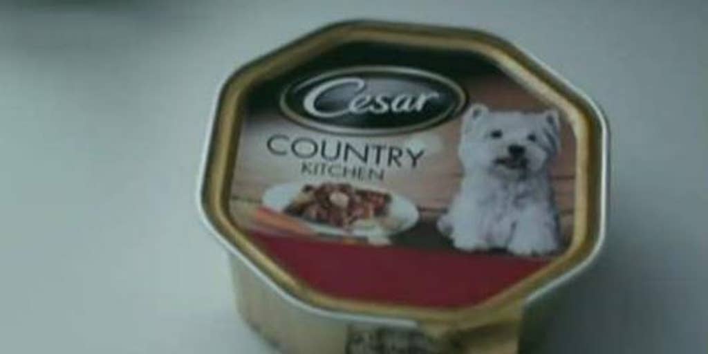 Cesar dog food recalled after plastic pieces found