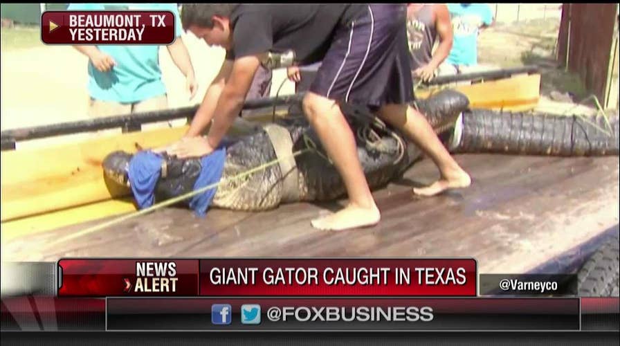 FoxBusinessNetwork_2016_10_14_10_13_57