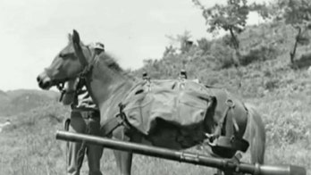 Heroic Korean War horse honored by Marines with bronze statue