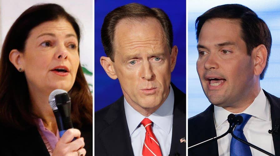 Why everyone should keep eye on swing state Senate races