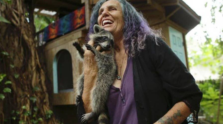 Grandmother battling government to keep treehouse residence