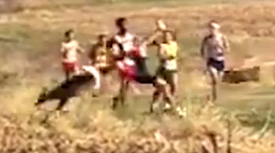 'Watch out!' Runner leveled as deer plows through race