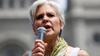 Green Party's Stein files for Wisconsin recount