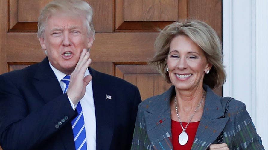 A closer look at Trump's Cabinet choices