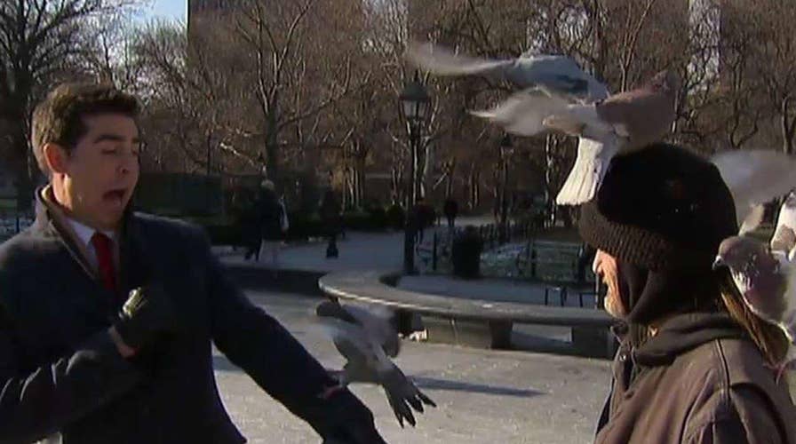 Watters' World: Christmas quiz edition