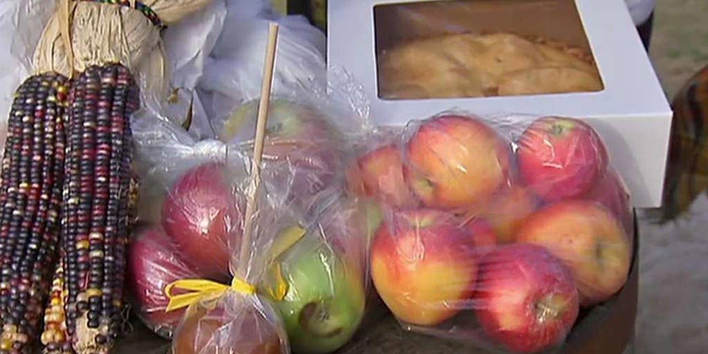 Is America's apple picking tradition rotten at the core? | Fox News Video