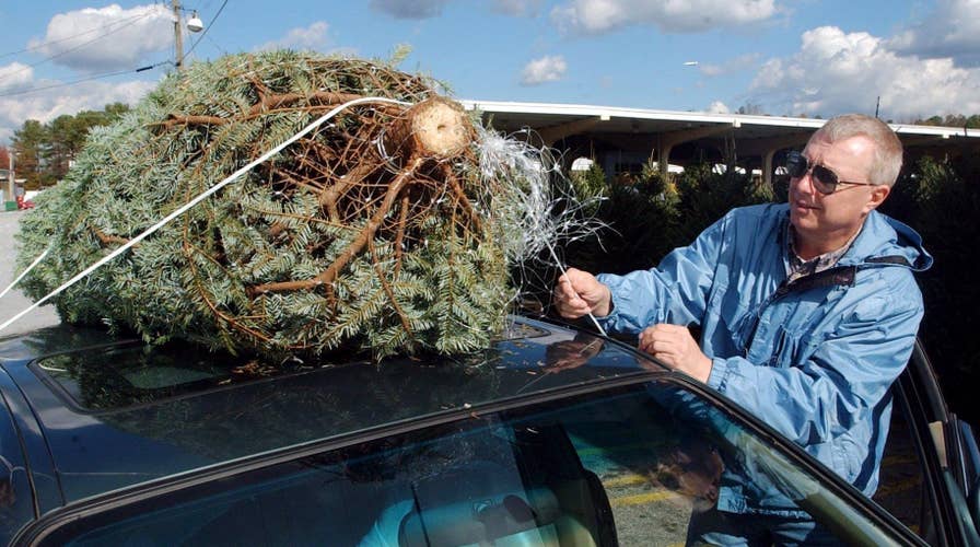 How to make your Christmas tree last all season