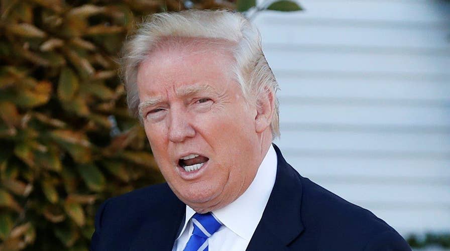 How Donald Trump's 'deportation force' might work