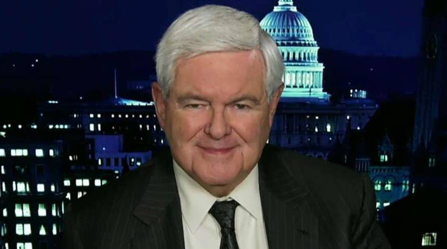 Gingrich: Recount mania is example of collapse of Dem Party