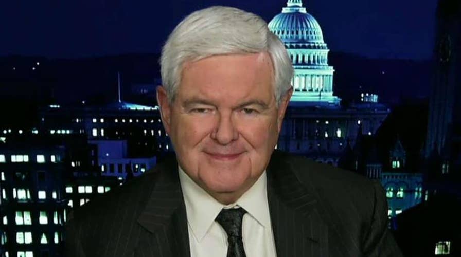Gingrich: Recount mania is example of collapse of Dem Party