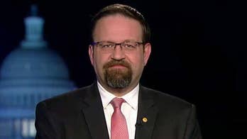 Brother of San Bernardino shooter pleads guilty to fraud