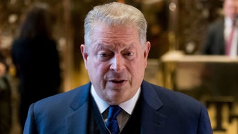 At Davos, Gore defends Trump solar tariff: report
