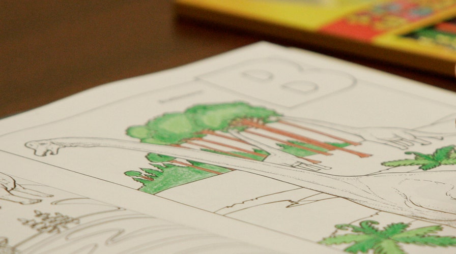 Coloring books for cadets sparks criticism