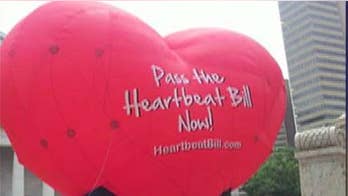 Ohio governor OKs 20-week abortion ban, nixes heartbeat bill