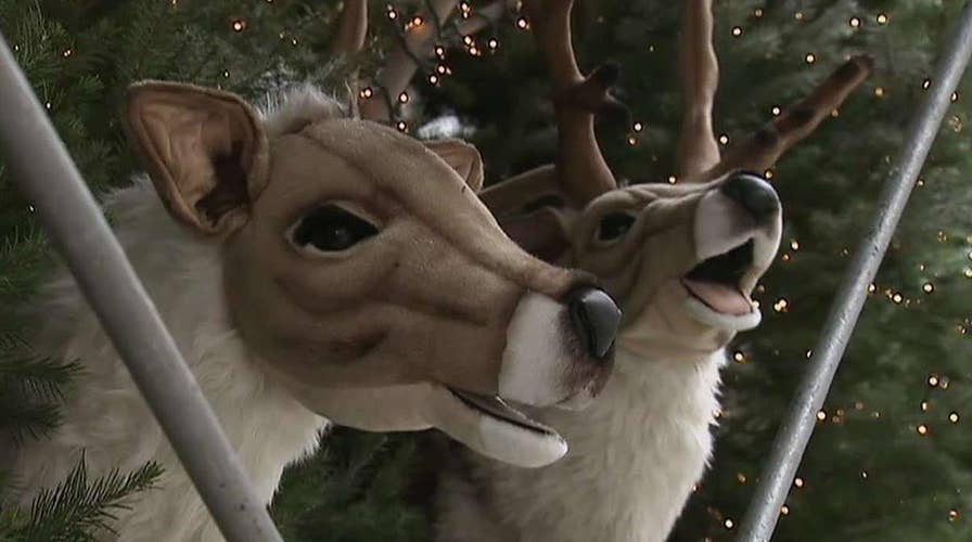 Lawyer sues neighbor over musical Christmas display