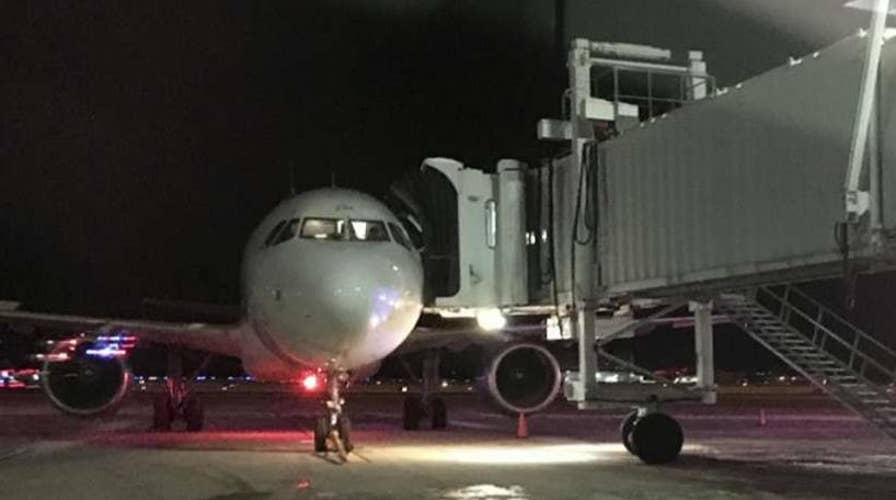 Bird strikes force two emergency landings in Illinois