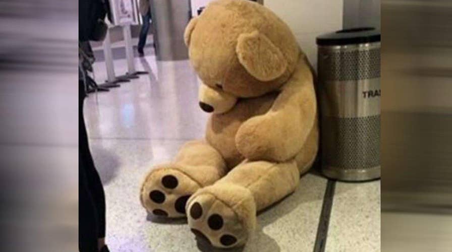 Giant bear an online star after being discarded at airport