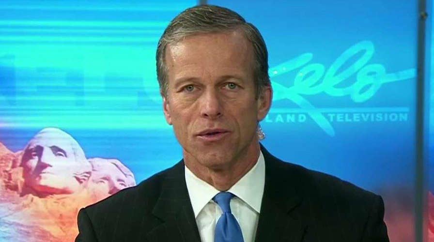 Sen. John Thune: Conclusions about Russia are premature