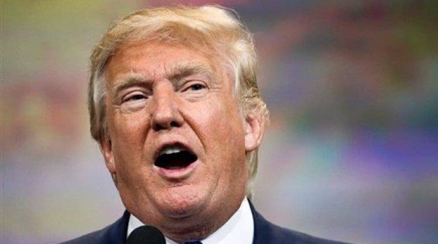 Democrat vows to fight Trump agenda 'every inch of the way'