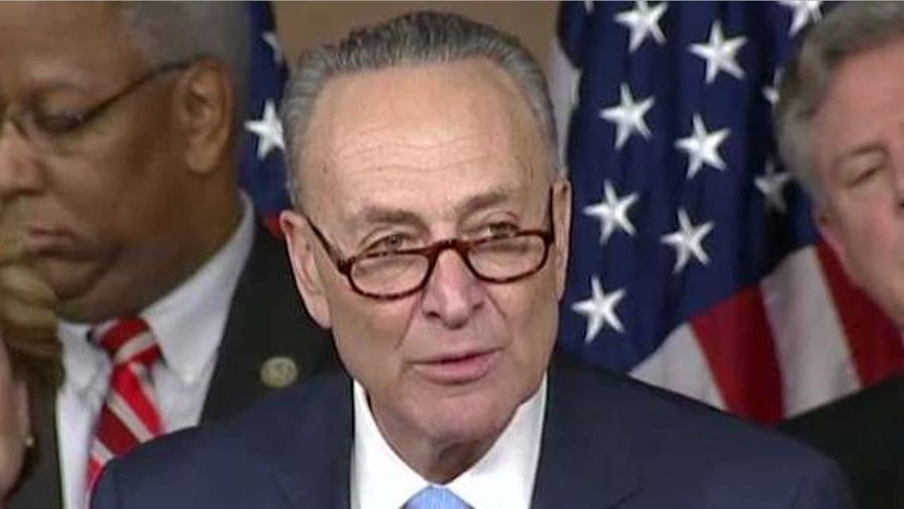 Gingrich: Will Chuck Schumer become Senator 'No' and wipe out his party's future?