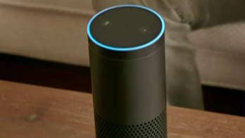 TV news report prompts viewers' Amazon Echo devices to order unwanted dollhouses