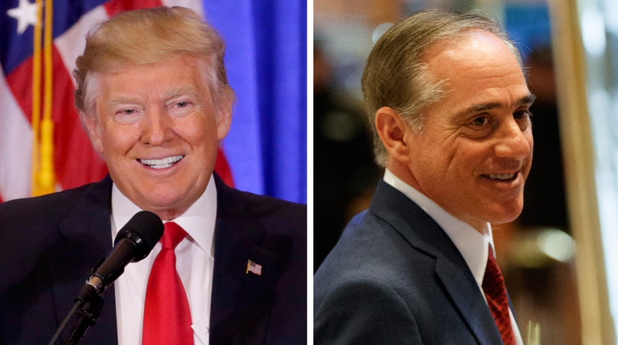 Trump taps David Shulkin to lead Veterans Affairs
