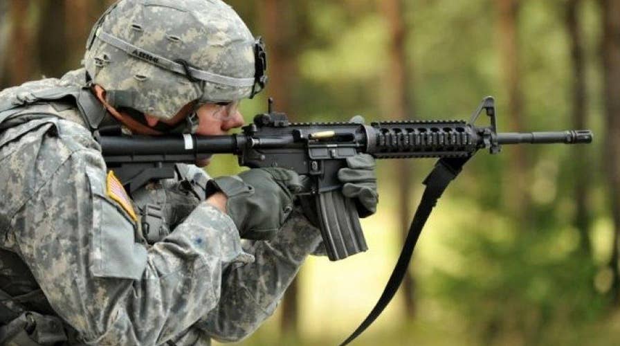 US Army sets sights on biodegradable ammo